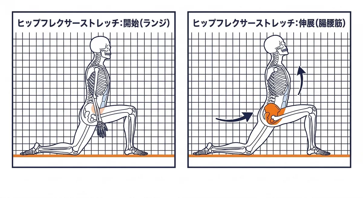 ヒップフレクサーストレッチのフォーム