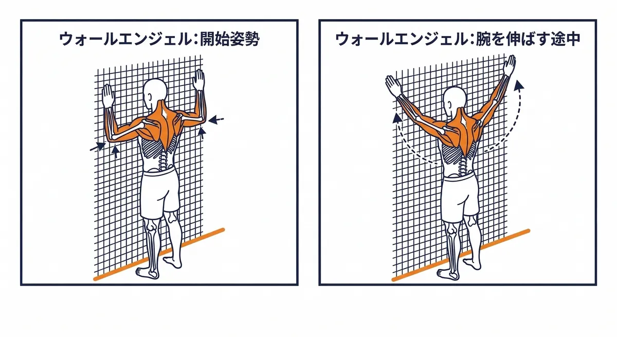 姿勢改善トレーニング